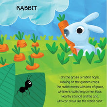 Load image into Gallery viewer, Cube Puzzle and Book - Friends in the Garden